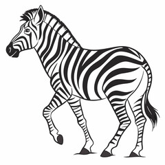 zebra vector illustration