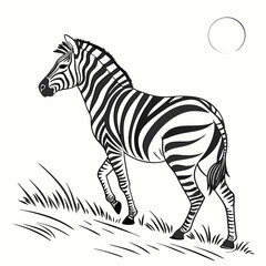 zebra vector illustration