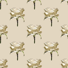 Seamless vector artistic white roses pattern