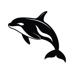 dolphin isolated on white background vector illustration