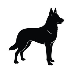 german shepherd  vector illustration