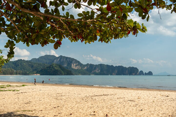 a beach in Krabi, Thailand