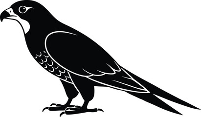 Falcon black bird silhouette illustration vector