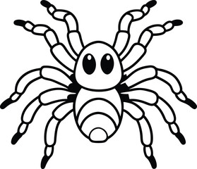 vector line art of a cute tarantula on a white background