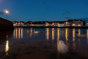 Fototapeta premium Long exposure photo of swans gliding on River Corrib at night. The Long Walk in the background. Galway city