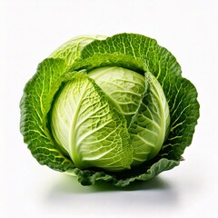 Obraz premium cabbage isolated on white background