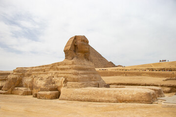 Historically known statue called Sfinx with face of human, body of lion and Cheop's pyramid in the background.
