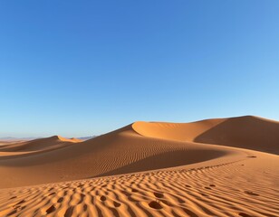 Endless golden sand dunes stretch under a clear blue sky in a serene desert landscape at midday