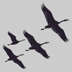 a flock of geese flying silhouette vector design art and illustration