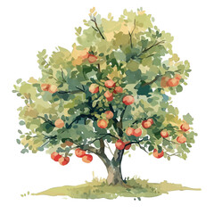 Fototapeta premium Abiu Tree with Fruit Watercolor Flat Vector Illustration | Exotic Fruit Artwork for Logos & Digital Designs 