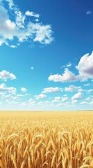 Naklejka premium A vast expanse of golden wheat fields stretching across a sun-kissed landscape on a bright sunny day, harvest time, landscape, golden wheat