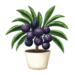 Acai Berry Plant with Fruit Watercolor Flat Illustration | Tropical Superfood Artwork for Logos & Digital Designs  
