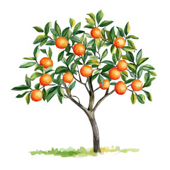 African Cherry Orange Tree with Fruit Watercolor Flat Illustration | Vibrant Nature Artwork for Logos & Digital Designs  
