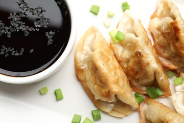 Fried gyoza dumplings with green onions and soy sauce on plate, closeup