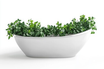 Fototapeta premium Chic white bathtub with green plants in the bathroom Design elements