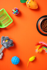 Colorful pet toys and accessories on an orange background, including a food bowl, feather toy, plush carrot. Pet care concept