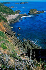 Fototapeta premium Ilha de Chiloé. Chile.