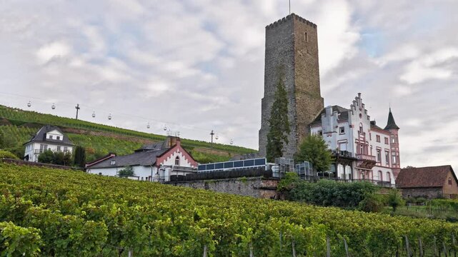 Historic Boosenburg Castle with the surrounding vineyards in R&uuml;desheim am Rhein on the Rhine, Germany