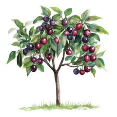 Black Cherry Tree with Fruit – Rich Watercolor Botanical Illustration, Fruit-Laden Tree Painting, Nature-Inspired Artwork, Deep and Vibrant Cherry Tree Design.  
