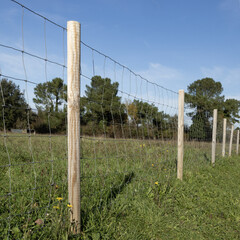 Cl&ocirc;ture agricole en grillage et piquets de bois