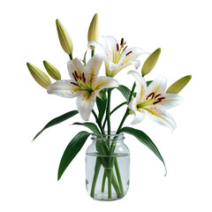 Fototapeta premium Glass Jar with Beautiful White Lily Flowers Isolated on Transparent Background.