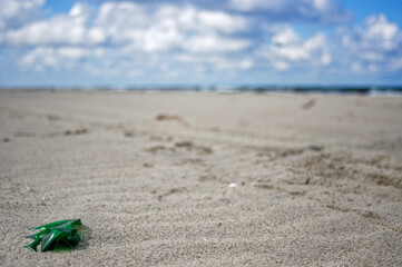 Wild sea lanscape polluted by a plastic garbage. Photoproject against pollution