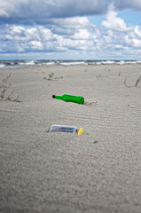 Wild sea lanscape polluted by a plastic garbage. Photoproject against pollution