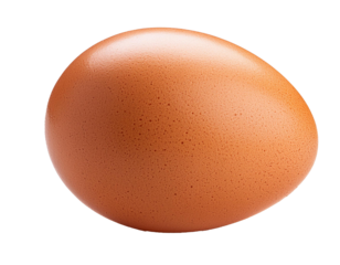 Egg isolated on white background, cutout