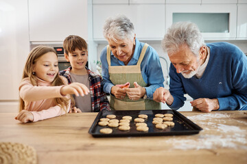 grandchild family child grandparent grandfather together grandmother cookie biscuit bake baking...