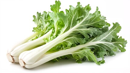 A bunch of leafy greens, possibly endive or escarole.