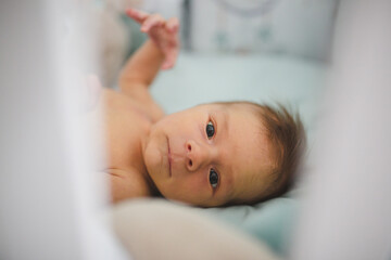 Newborn baby boy, just two weeks old, lying in his cot and looking at camera