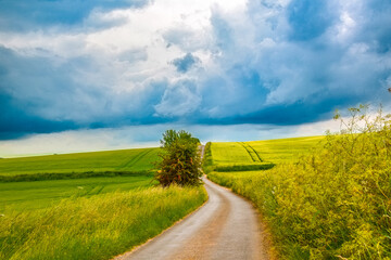 Cotswold landscape with road passing through a wheat field	
