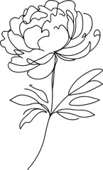 Beautiful Peony Flower Line Art – High-Quality Vector Illustration