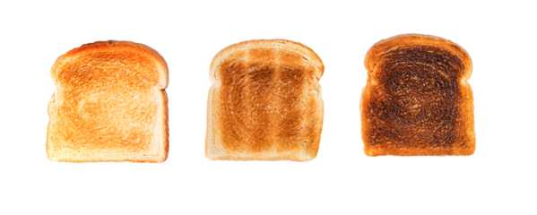 Variety of toasted bread