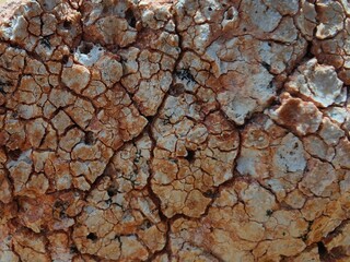 TEXTURA TIERRA DESÉRTICA