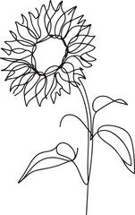 Sunflower Line Art Vectors to Enhance Your Creative Projects