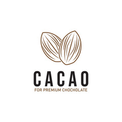 cacao cocoa chochoclate logo icon vector design