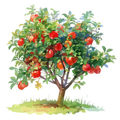 Emu Apple Tree with Fruit – Stunning Watercolor Vector Illustration, Unique Australian Tree Design, Nature-Inspired Artwork, Fresh Emu Apple Tree with Fruit Vector.  
