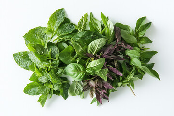 Clean arrangement of green mint on a modern white backdrop	