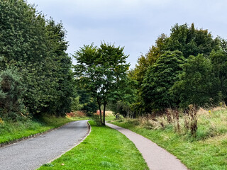 Country road going into the distance. Beautiful landscape
