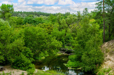 Fototapeta premium A peaceful green forest with a winding river surrounded by lush trees, creating a serene summer outdoor scene.