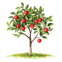 Kepel Tree with Fruit – Watercolor Vector Illustration, Exotic Botanical Artwork, Hand-painted Kepel Tree, Lush Nature-inspired Watercolor Vector Design  
