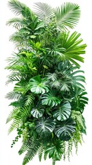 A lush vertical garden featuring various green plants and foliage.