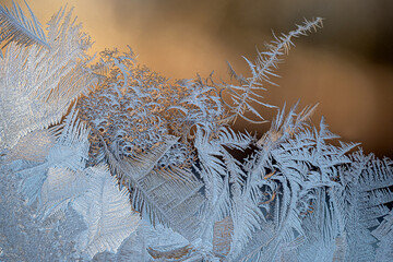 Ice flowers on window