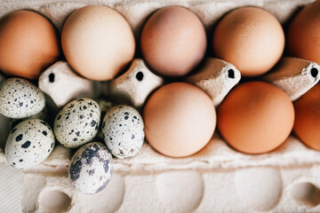 Variety of Chicken and Quail Eggs in a Carton Container