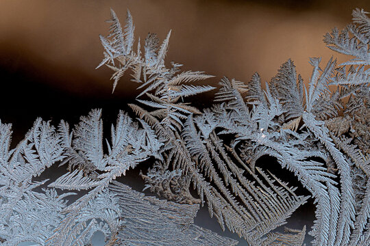 Ice flowers on window