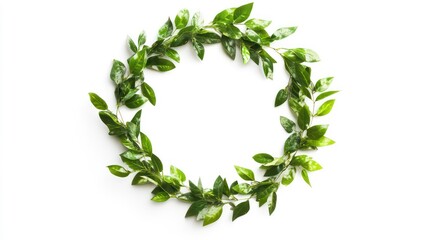 Green leaf wreath on white background. (1)