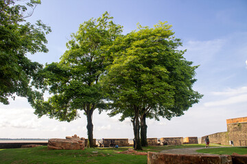 Obraz premium tree on the hill, Forte do Castelo localizado em Belém-PA, Brasil