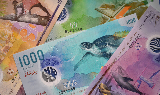 unos billetes actuales de las islas maldivas
