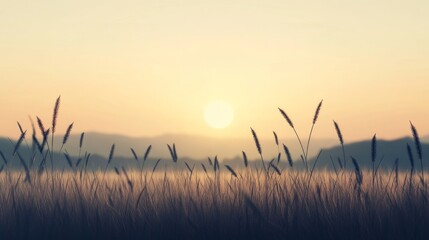 Obraz premium Serene sunset over a field of tall grass.